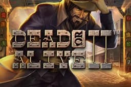 Dead or Alive 2 Slot Featured Image